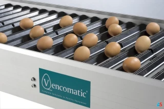 Transporter jaj Vencobelt